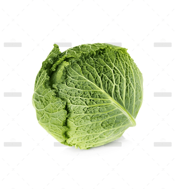 demo-attachment-2414-Group_295